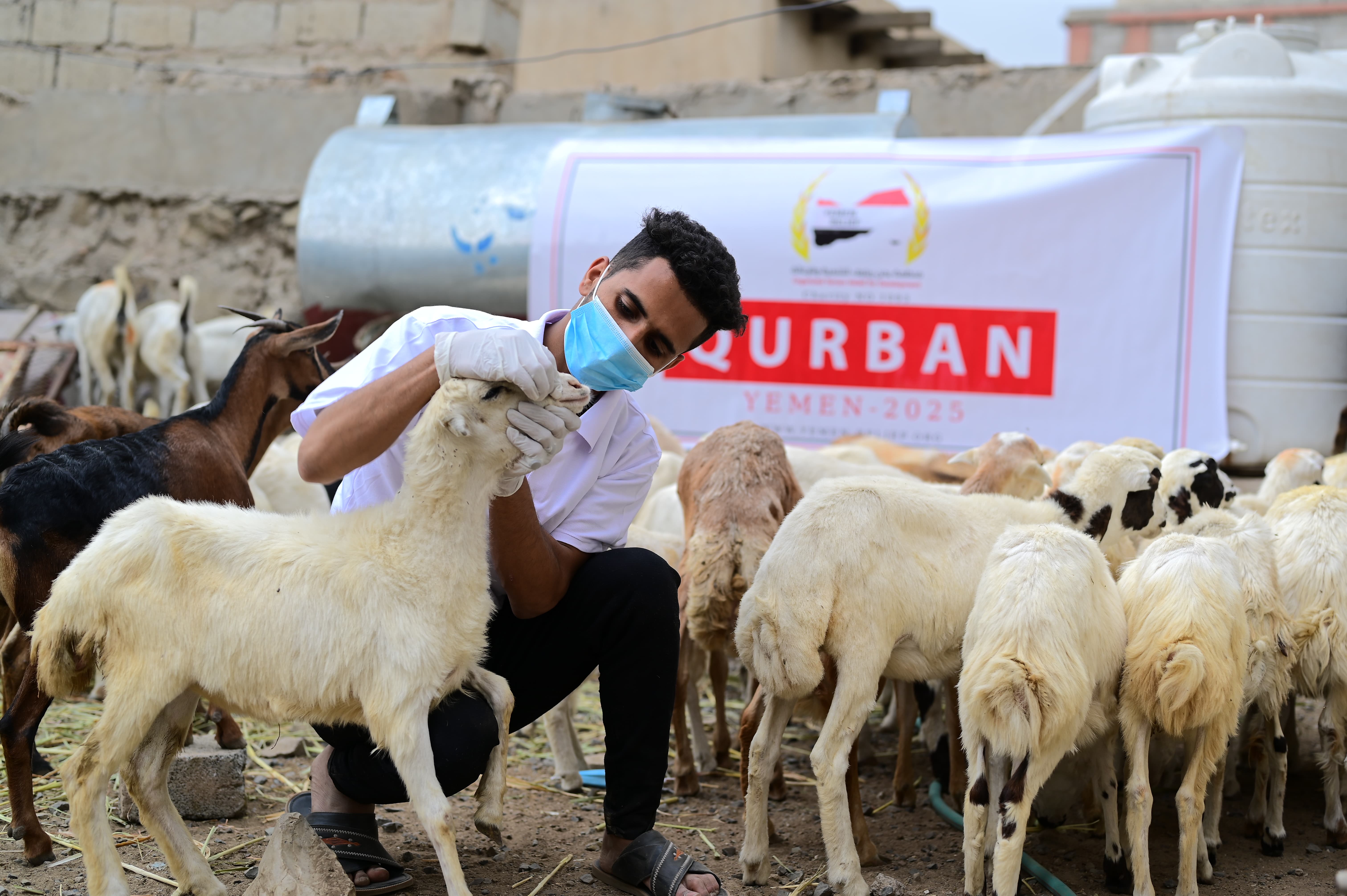 Qurbani Project 2025: Sharing the Blessings of Eid al-Adha
