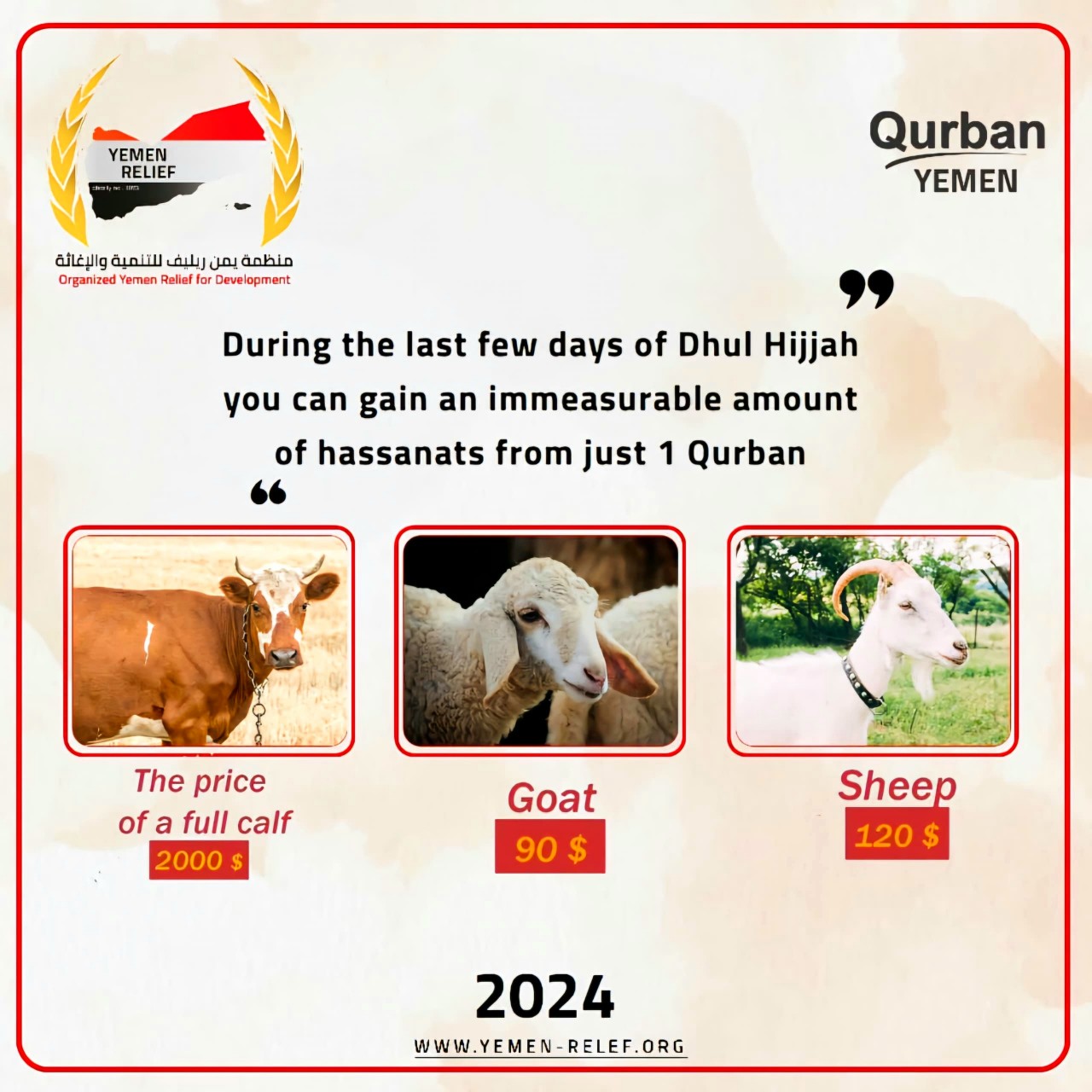 Qurban Project Completion Report: Delivering Fresh Meat to 12,000 Families Across 8 Governorates